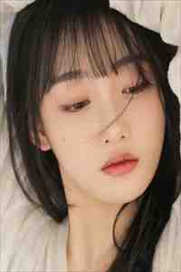 完整文集阅读九州战龙