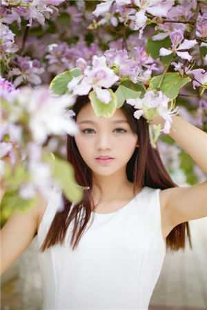 完整篇章我的老婆是富豪