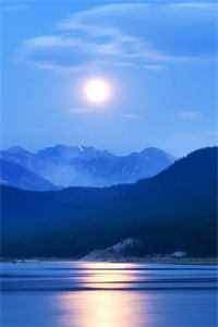 别样人生全文浏览