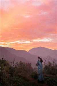 畅读全文版我靠生子获得个人和国运奖励