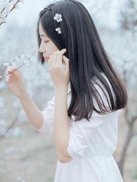 出狱医者，开局治好妹妹的腿热门小说