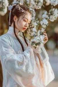 风水大师混官场优秀文集