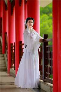 高考前被退学，获得高科技武器图纸文章精选