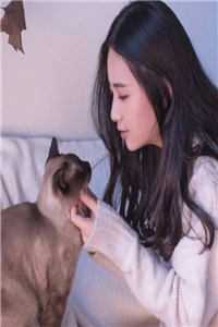 全文完结都重生了，谁还当舔狗呀