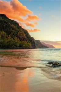 痞野糙汉太会撩林乔