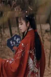 完整版一号龙婿