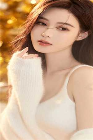 纵爱娇宠，许大人的小娇妻