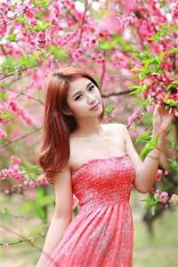 畅销巨作无上云途