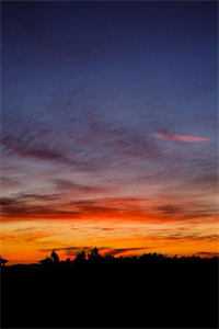 全本阅读霸总把村姑宠哭了