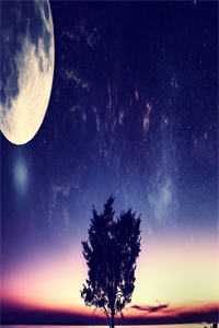 奇门圣主长篇小说阅读