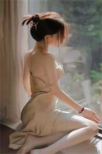 精选篇章金牌律师