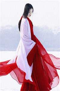 高质量小说阅读兵贵神速