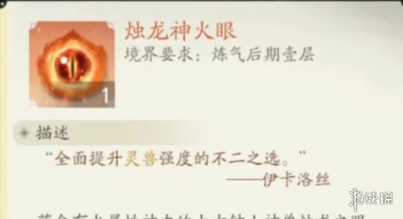 本站6