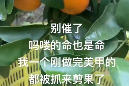 吗喽含义推荐
