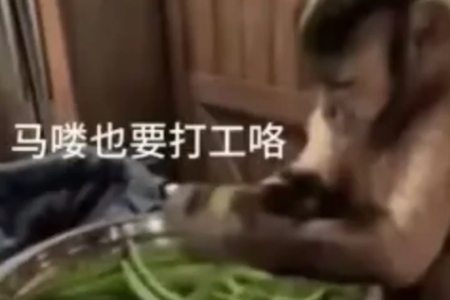 吗喽含义推荐