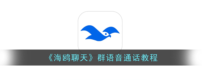 《海鸥聊天》群语音通话教程