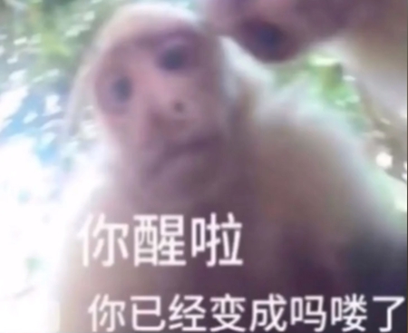 吗喽含义推荐