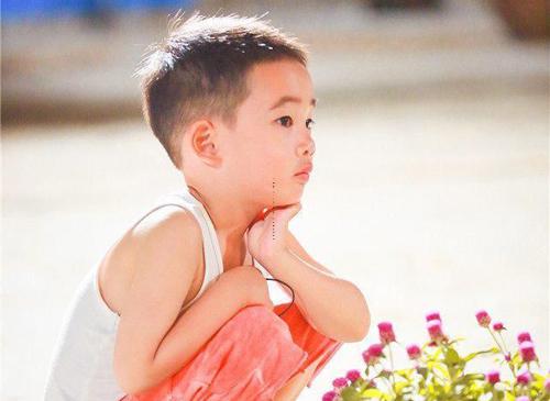 双子座2023年11月24日运势好不好双子座2020年11月24运势