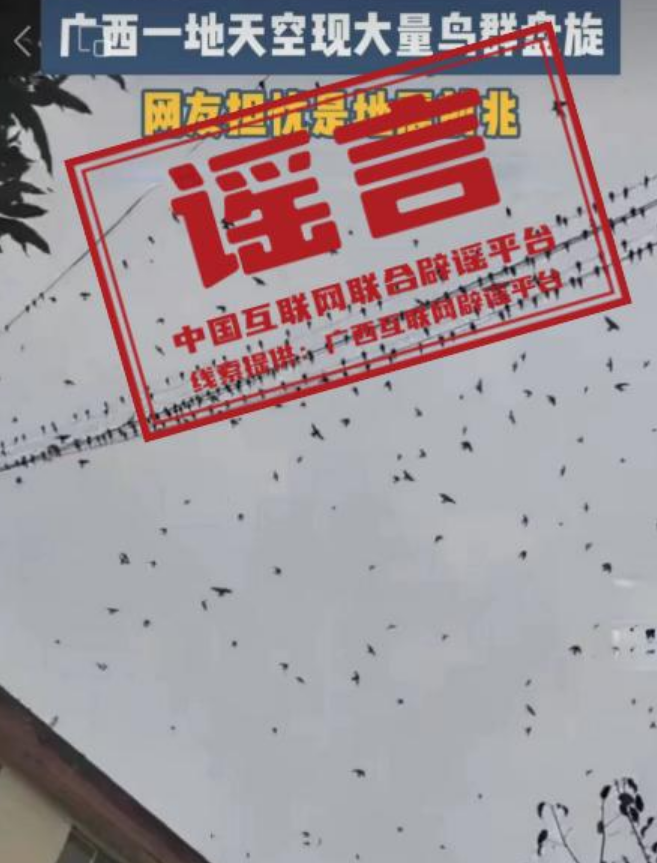 广西辟谣飞鸟盘旋是地震前兆：对断崖式的气温不适应所致！