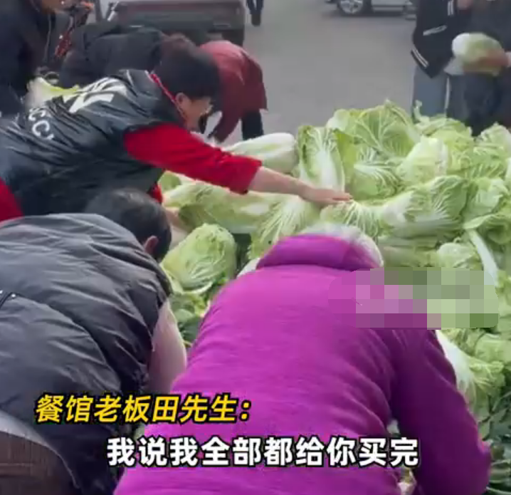 男子买3千斤滞销白菜让人免费取 还亲自送到特困户家中！