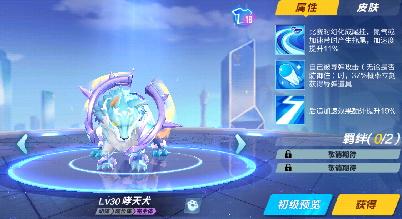 qq飞车竞速什么宠物最好