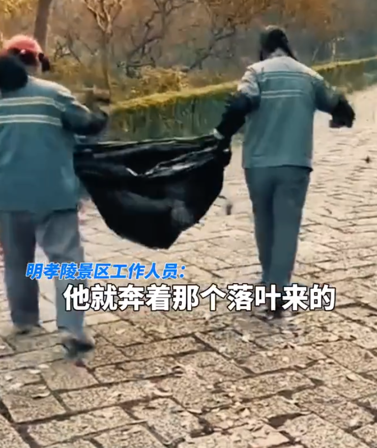 景区回应清洁工往路上抛撒树叶：为了给游客拍照的氛围感！