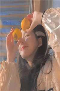 全文章节登云官途