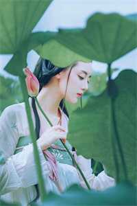 完整阅读龙御九州