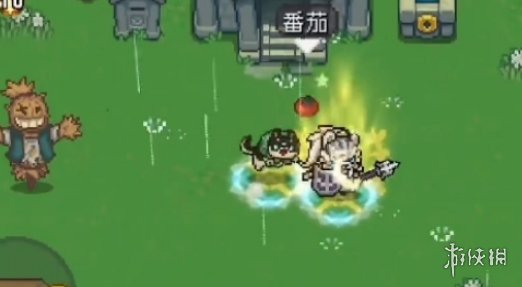 本站4