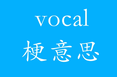 vocal网络用语梗意思推荐