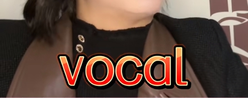 vocal网络用语梗意思推荐