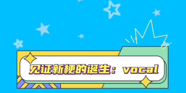 vocal网络用语梗意思推荐