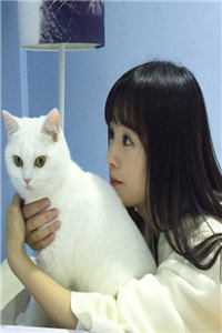 上门狂婿精品小说