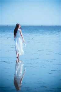 登云官途畅销书目