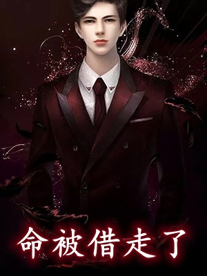 登云官途全本小说推荐