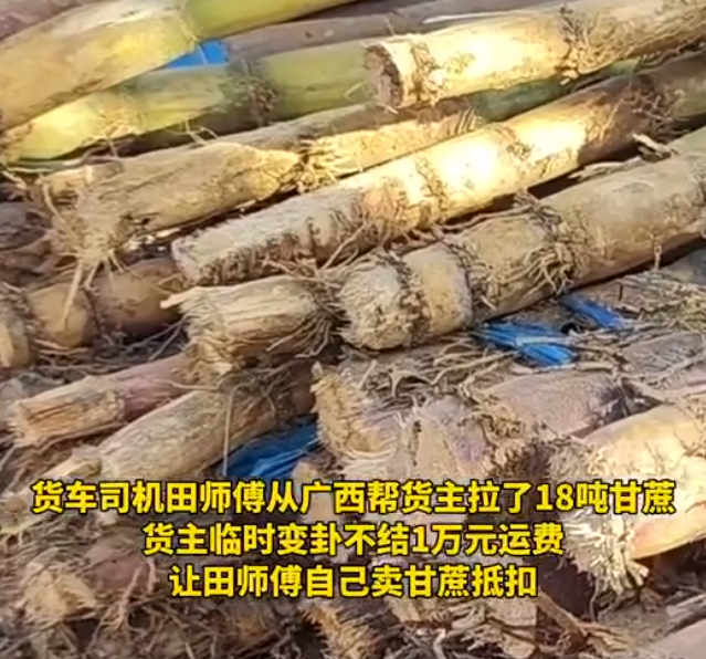 暖心！网友近3小时买空18吨滞留甘蔗