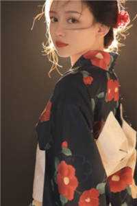 贺兰殷桑宁阅读大结局