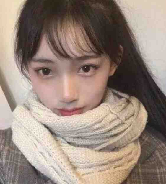 畅读精品小说四合院：开局何大清要跑路