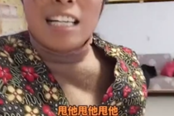 甩他梗意思推荐