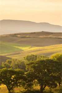 带12个妹妹逛街，奖励加倍长篇小说阅读