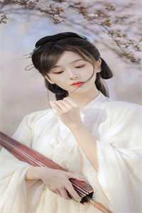 全本小说官途纵横