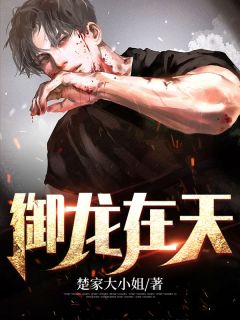 战龙无双完整篇章