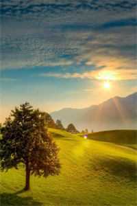 重生之七个新姐姐追着我疼爱全章阅读