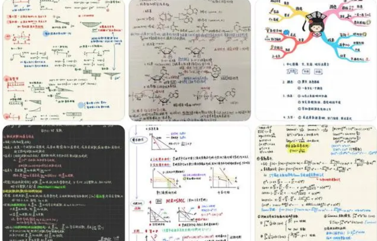浙大学霸的笔记精美得像教科书 网友：视觉和知识的双重享受！