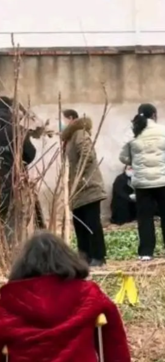 村民称厕所被强拆致老人无处如厕 村委会回应来了！