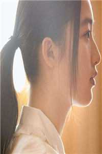 东宫雪小说阅读免费完整版