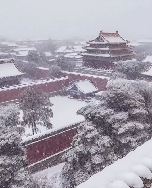 红墙白雪 网友感叹故宫的雪景也太美了！
