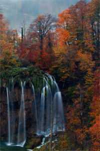 优质全文藏师：天下寻宝