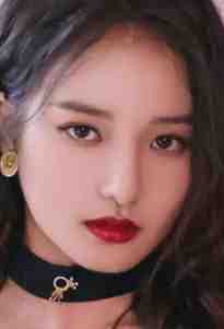 精选篇章阅读四合院：我有百万狗头军师