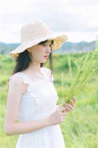 全本小说快穿：全能路人炮灰